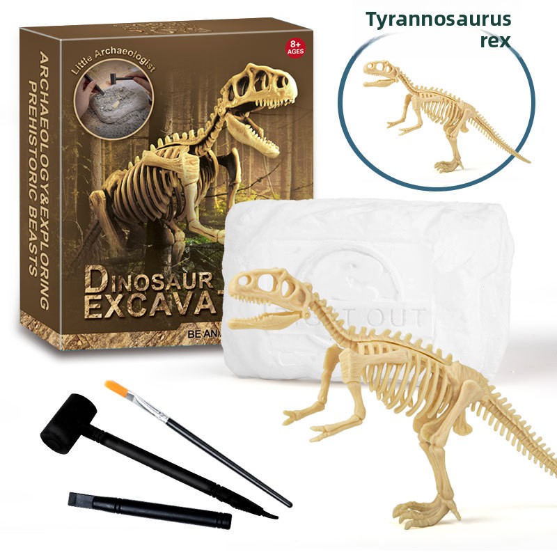 공룡 화석 발굴 키트 STEM 공룡 골격 모형 장난감  - Science Toys 리뷰 및 가격
